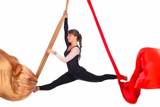 Kids & Adult Aerial Silks Level 1 (ages 4 &Up no Intro)